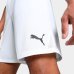 Short Puma Team Goal Masculino - Branco