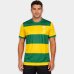 Camiseta Flamengo Pairar Basica 86 Masculina - Amarelo e Verde