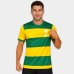 Camiseta Flamengo Pairar Basica 86 Masculina - Amarelo e Verde