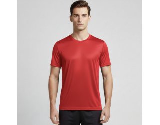 Camiseta Dry Fit The Men Masculina Microfuros Anti Suor Esportiva - Vermelho Camiseta Dry Fit The Men Masculina Microfuros Anti Suor Esportiva - Vermelho