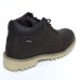 Bota Bull Terrier Clark II Masculina - Marrom Escuro