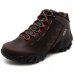 Bota Couro Bull Terrier Ranger Masculina - Marrom