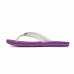 Chinelo Kenner New Summer Masculino - Roxo